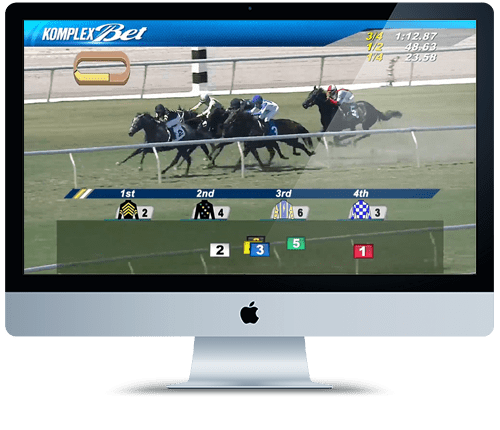 Logiciel de courses de chevaux virtuelles